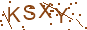 驗證碼 KSXY